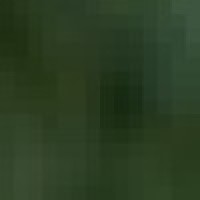 Eliene de Oliveira Mendes