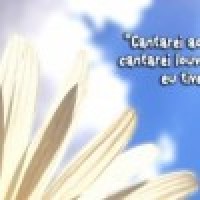 Fernanda Veras Azevedo de Souza