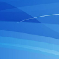 Priscila Araujo Rocha