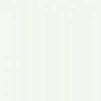 Tarcisio Medeiros Marques Neto