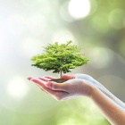 Curso Gestão Ambiental com Ênfase na Indústria do Petróleo