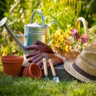 Curso Criação de Jardins