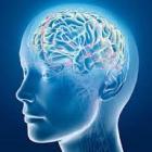 Curso Bases Neurológicas