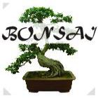 Curso de Bonsai