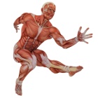 Curso de Biomecânica Básica