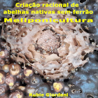 Curso Como Criar Abelhas Nativas Sem Ferrão: Meliponicultura